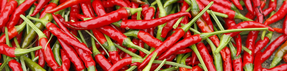Bansho ［chili peppers］