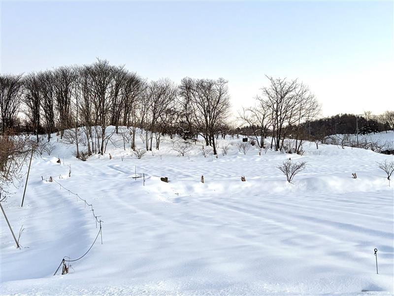 農場雪景色.jpg