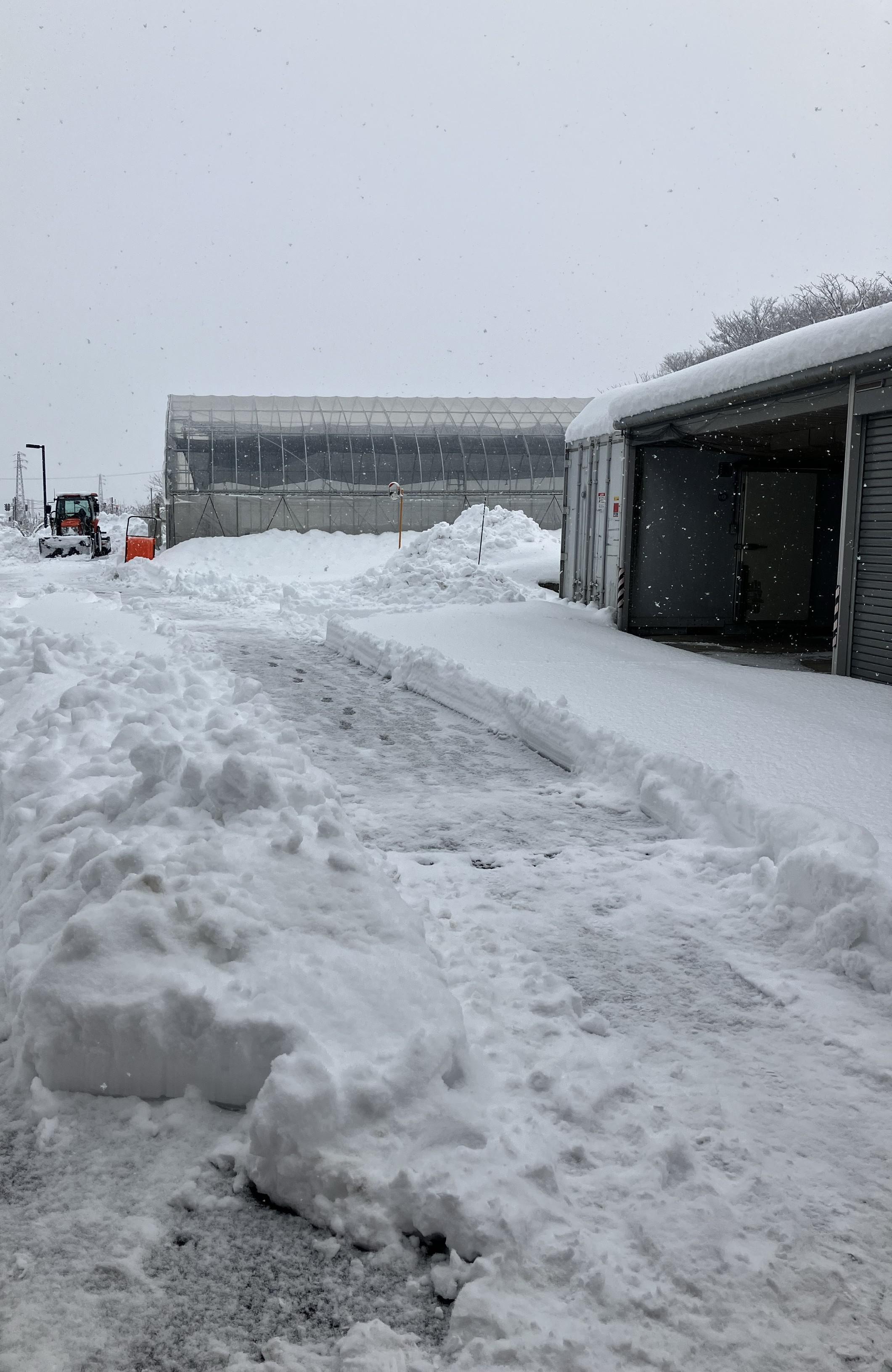 大雪（編集版）.jpg